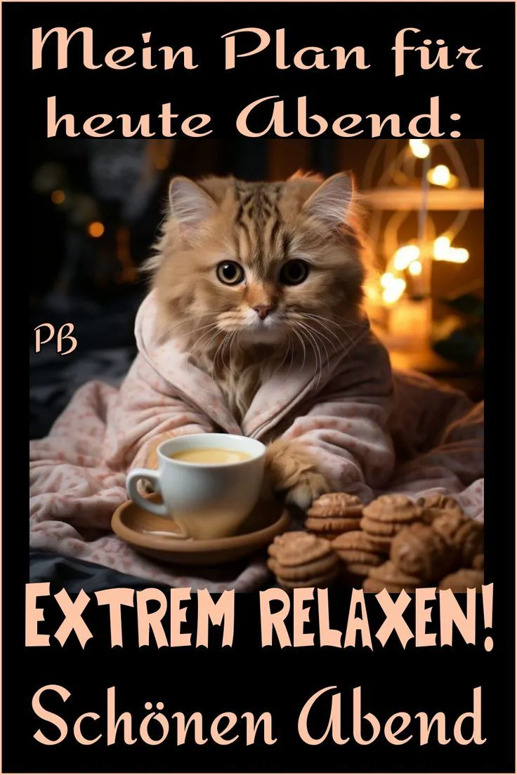 Ein flauschiges Kätzchen im Bademantel sitzt gemütlich mit einer Tasse und Keksen. Es plant einen extrem entspannten Abend mit diesem süßen Guten-Abend-Grußbild.
